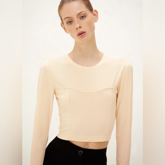 1-01 Babaton Aritzia Artemis Long Sleeve Bustier Top - Picture 6 of 11